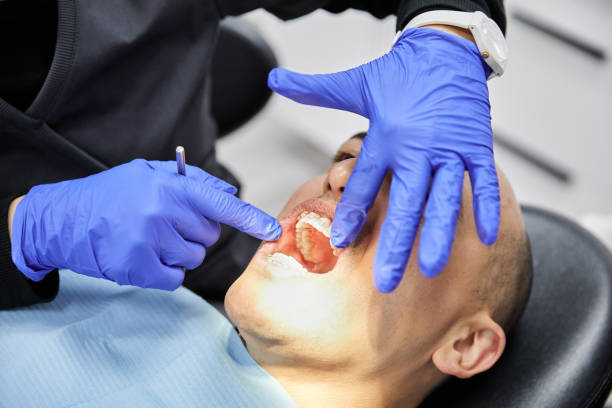 Best Emergency Dental Services for Seniors in Kenton, OH